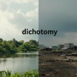 dichotomisch